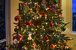 HOLIDAYS IN THE CITY